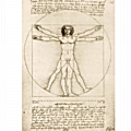 Παζλ Bluebird Leonardo Da Vinci - The Vitruvian Man, 1490 - 1000 τεμ.